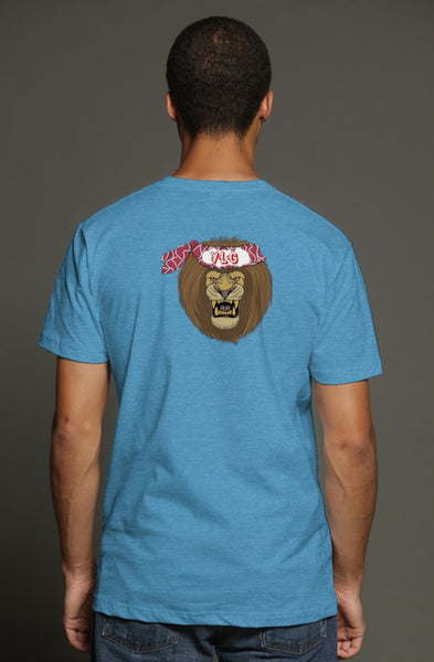 YLG Logo triblend t shirt