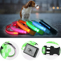 Rechargeable LED Glowing Dog/Cat Collar-Adjustable