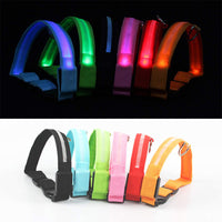 Rechargeable LED Glowing Dog/Cat Collar-Adjustable