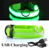 Rechargeable LED Glowing Dog/Cat Collar-Adjustable