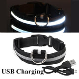 Rechargeable LED Glowing Dog/Cat Collar-Adjustable